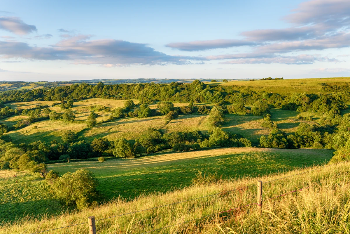 Litiges fonciers dans les zones agricoles : Enjeux et solutions juridiques